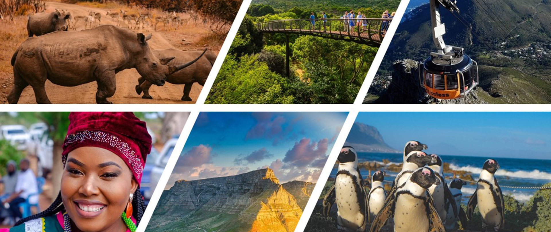 Discover Cape Town