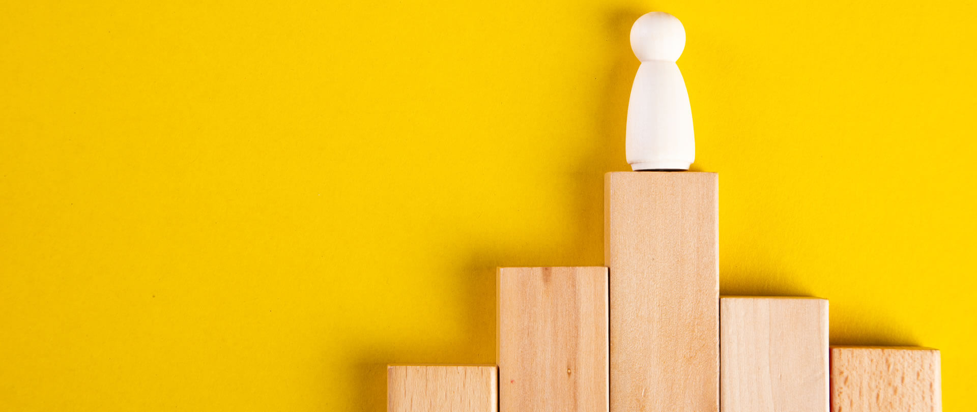 EE: Executive Development Programme