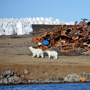 Climate change action starts with each one of us