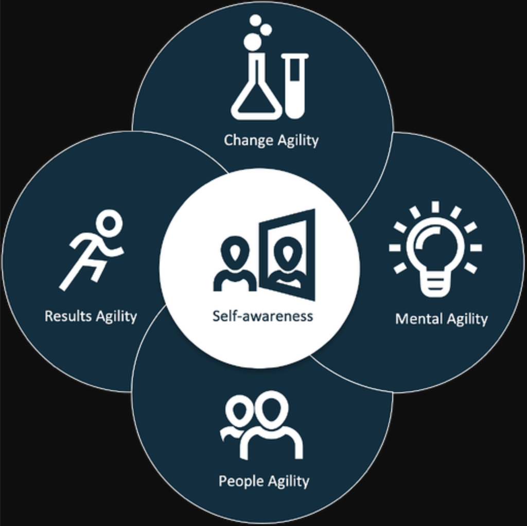 LEARNING AGILITY IN KNOWLEDGE WORKERS: LEVERAGING