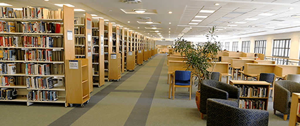 Library - library catalog